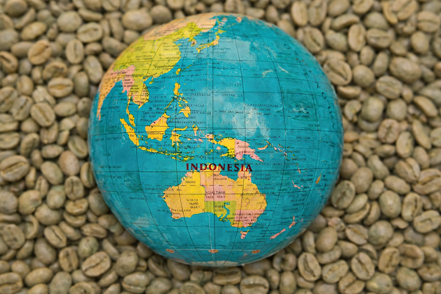 Modern coffee traceability for export buyers